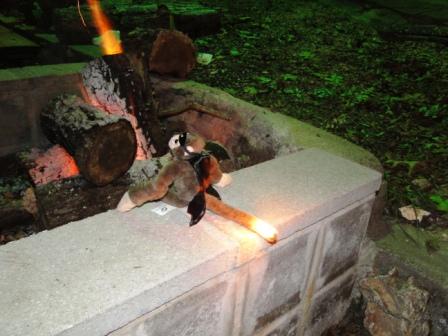 AWOL 2010  Thursday  9-23-10